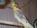 claudia252820