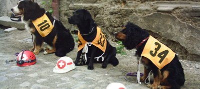 Sigla Centrului de Educare Canina