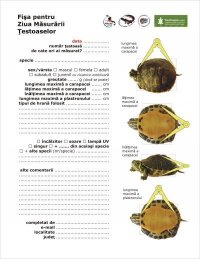 Fisa Ziua Masurarii Testoaselor
