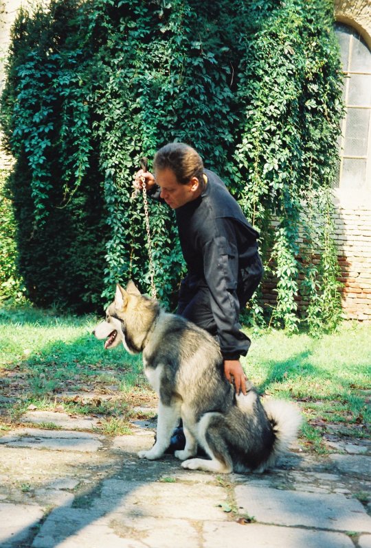 Foto 3 Prin amabilitatea <a href="http://www.cartedresaj.ro/" target="_blank">www.cartedresaj.ro</a>