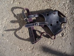 Botnita de piele - foto 5 Prin amabilitatea <a href="http://www.cartedresaj.ro/" target="_blank">www.cartedresaj.ro</a>