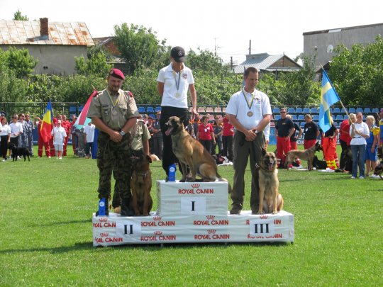 Castigatorii probei de daramaturi