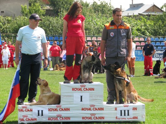 Castigatorii probei de cautare la padure