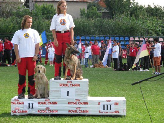 Castigatorii probei de cautare in apa